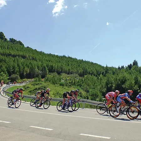 2 Bedroom Cozy In Appartement